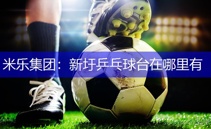 新圩乒乓球台在哪里有