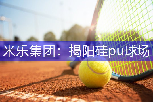 揭阳硅pu球场