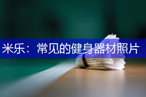 常见的健身器材照片