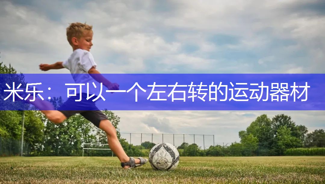 可以一个左右转的运动器材