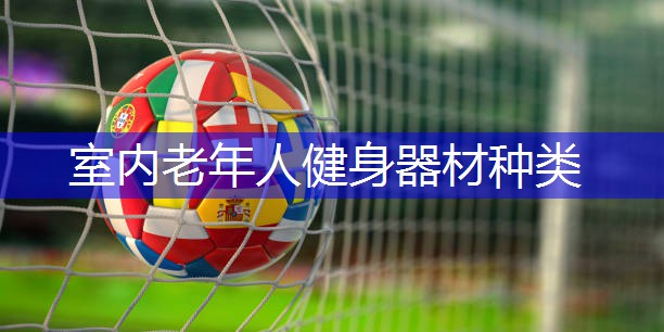 室内老年人健身器材种类