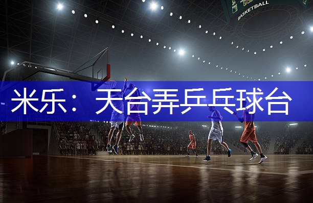 天台弄乒乓球台