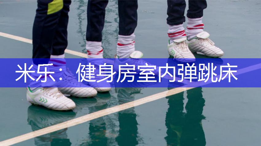 健身房室内弹跳床