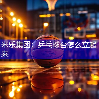 乒乓球台怎么立起来