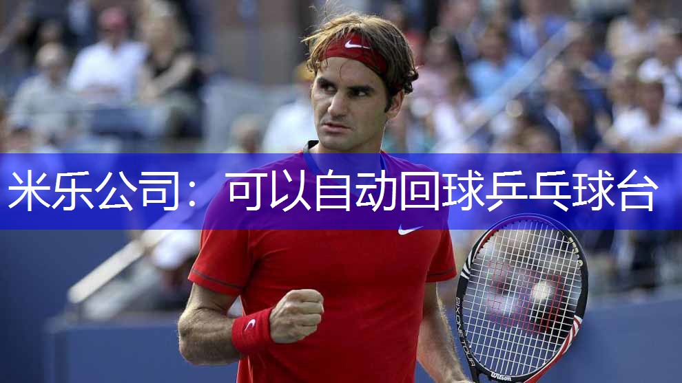 可以自动回球乒乓球台