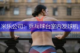 乒乓球台室内发球机
