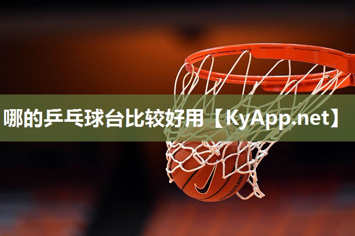 哪的乒乓球台比较好用