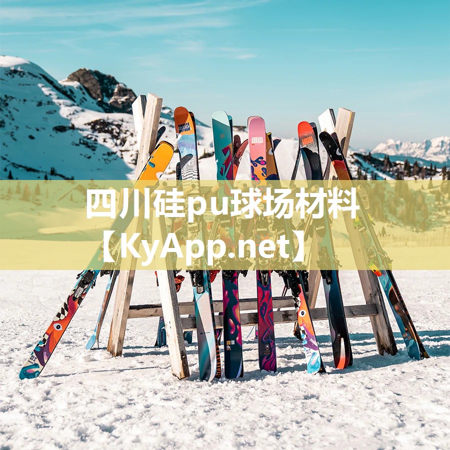 四川硅pu球场材料