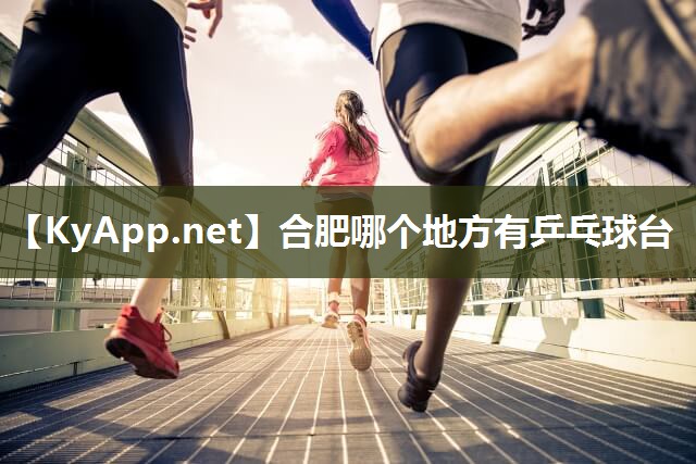 合肥哪个地方有乒乓球台