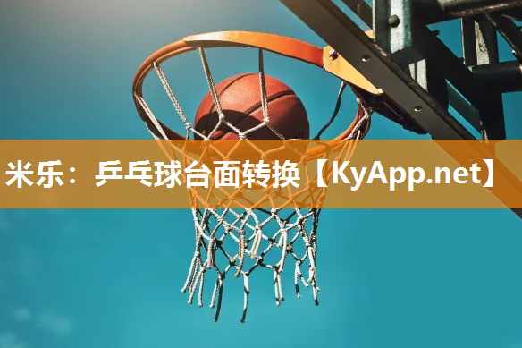 乒乓球台面转换