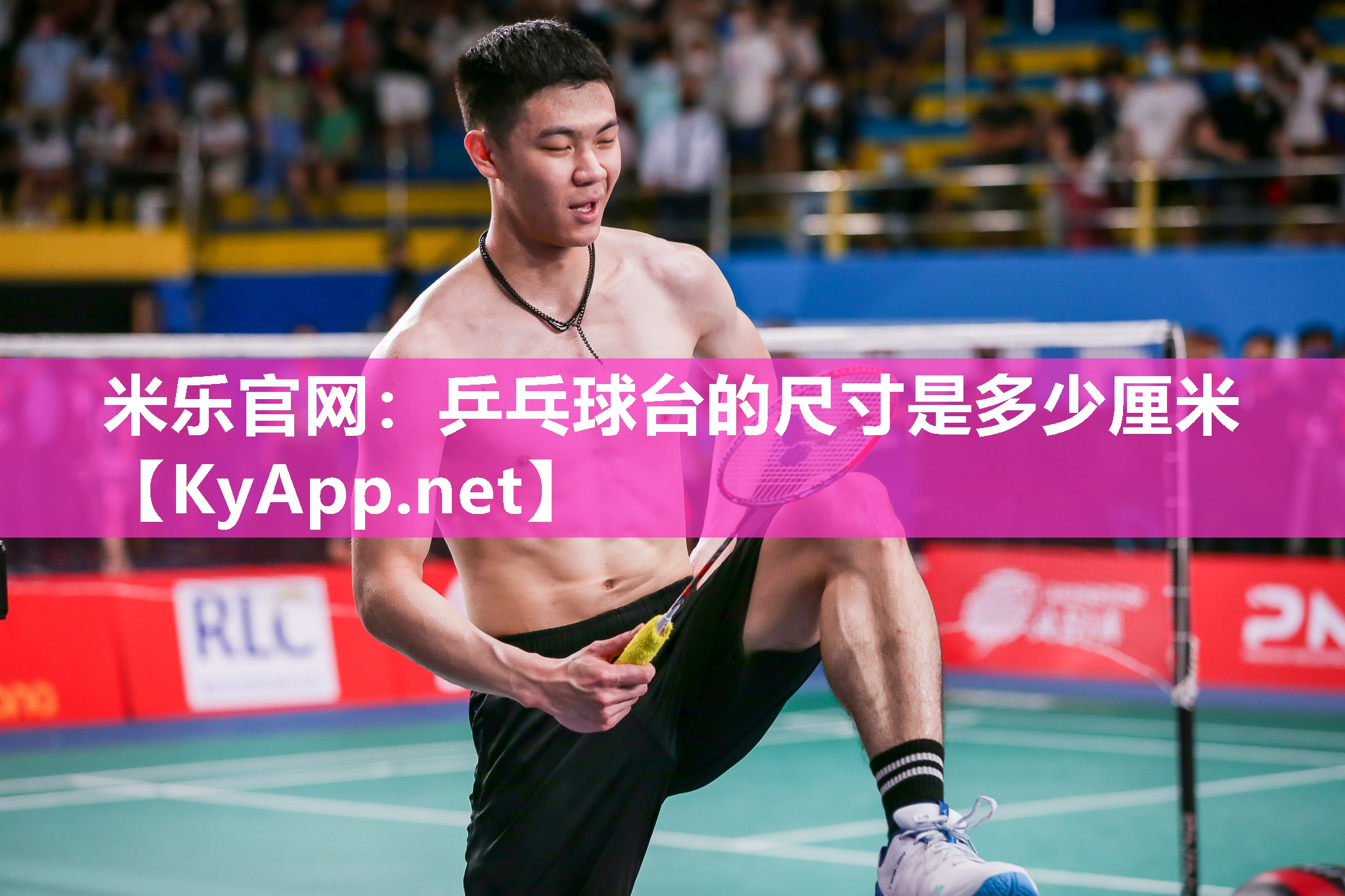 乒乓球台的尺寸是多少厘米