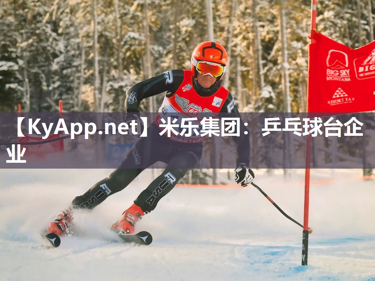 乒乓球台企业