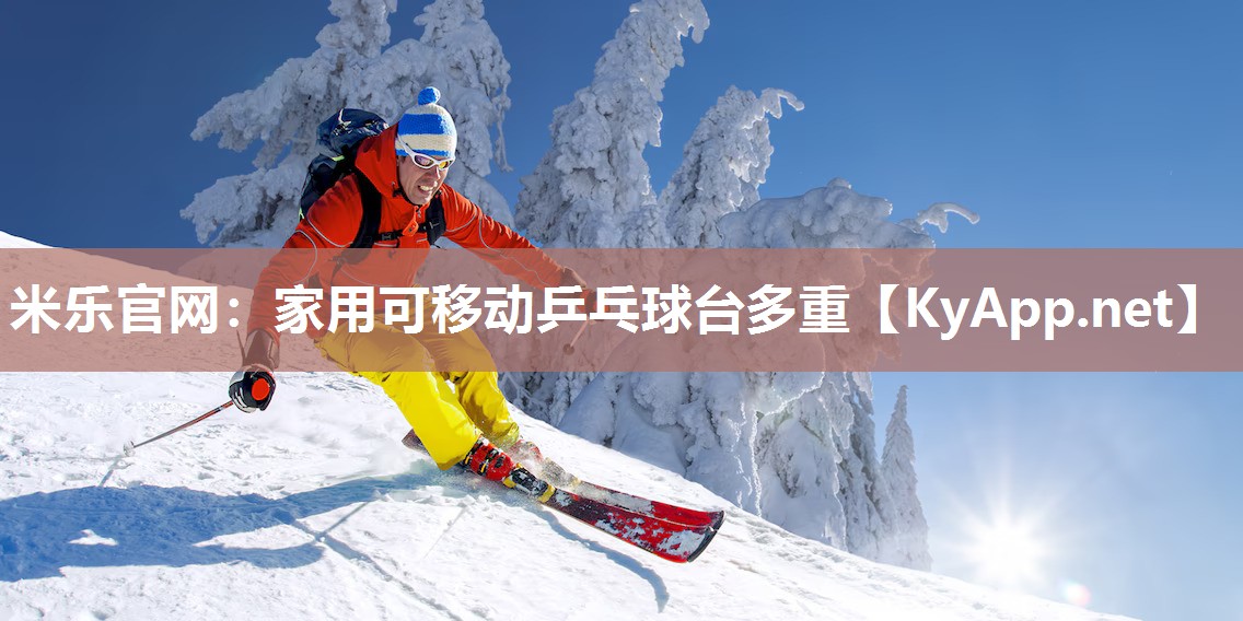 家用可移动乒乓球台多重