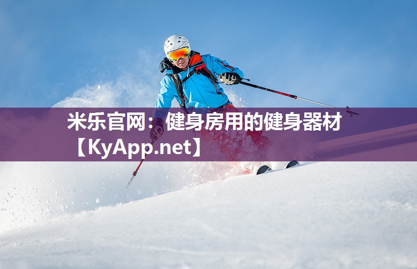 健身房用的健身器材