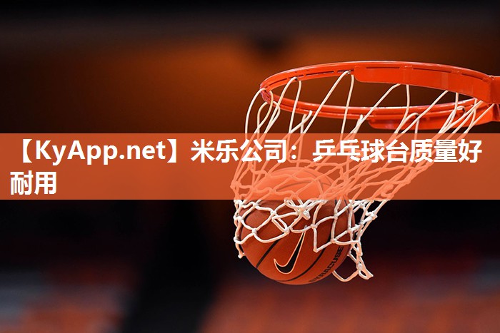 乒乓球台质量好耐用