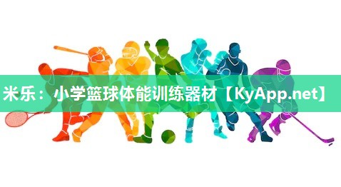 小学篮球体能训练器材