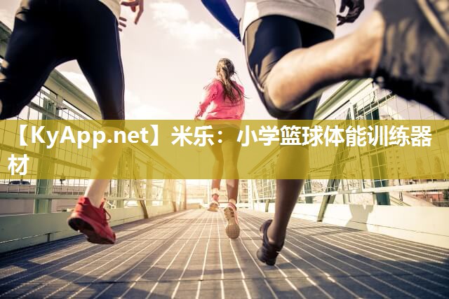 小学篮球体能训练器材