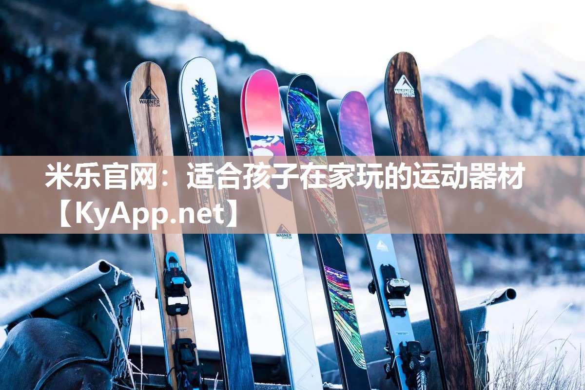 适合孩子在家玩的运动器材