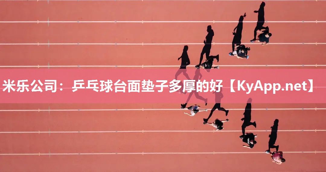 乒乓球台面垫子多厚的好