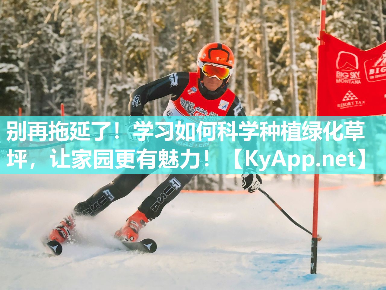 别再拖延了！学习如何科学种植绿化草坪，让家园更有魅力！