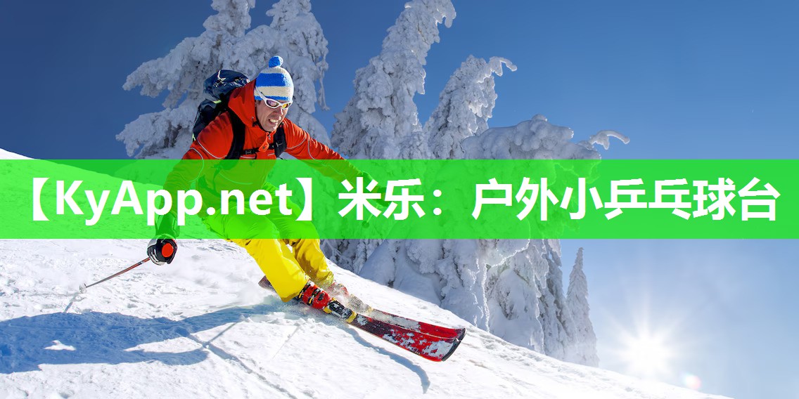户外小乒乓球台