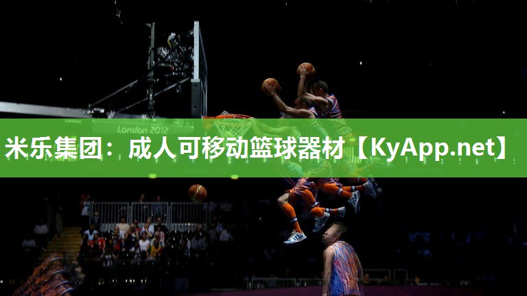 成人可移动篮球器材