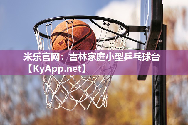 吉林家庭小型乒乓球台