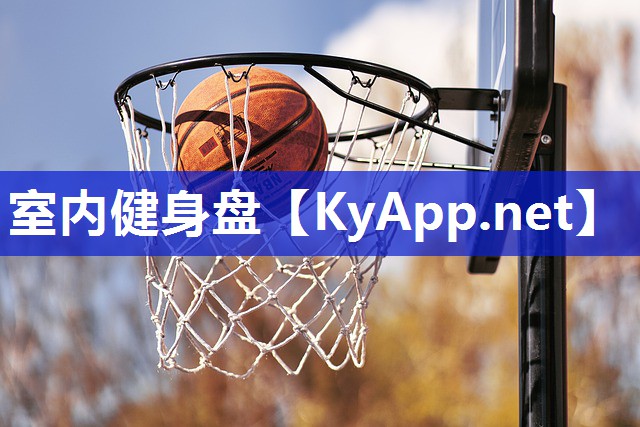 室内健身盘