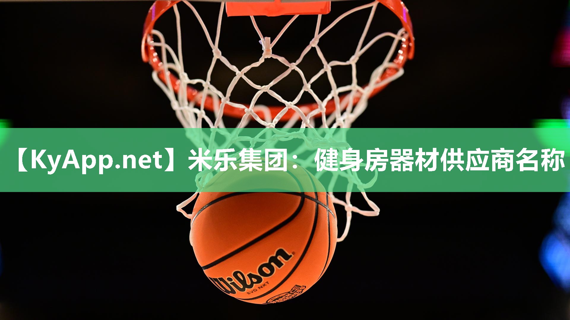 健身房器材供应商名称