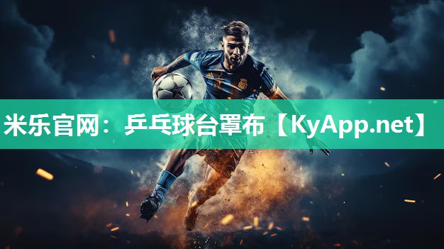 乒乓球台罩布