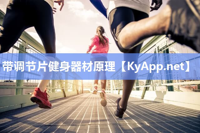 带调节片健身器材原理