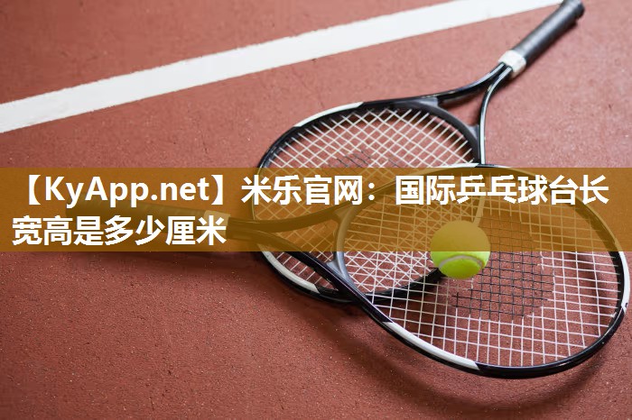 国际乒乓球台长宽高是多少厘米
