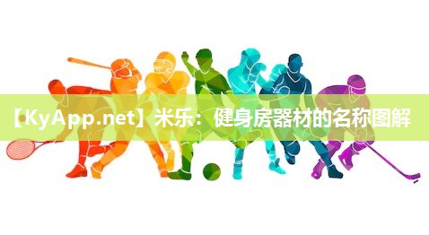 健身房器材的名称图解