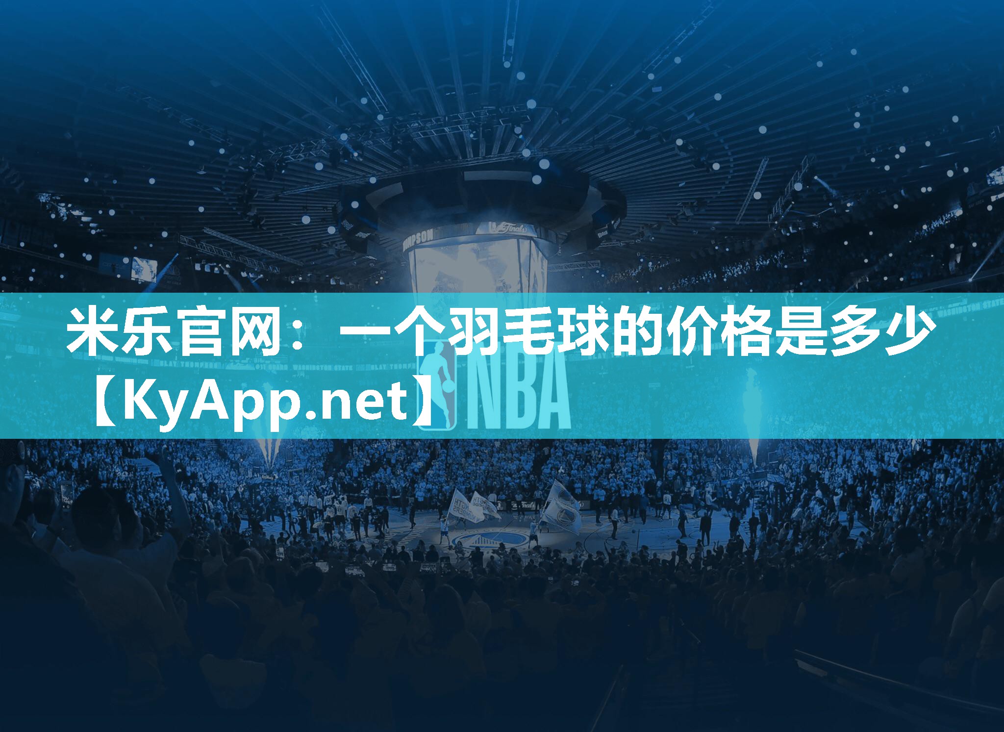 一个羽毛球的价格是多少