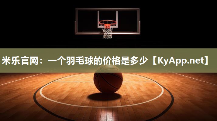 一个羽毛球的价格是多少