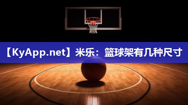 篮球架有几种尺寸