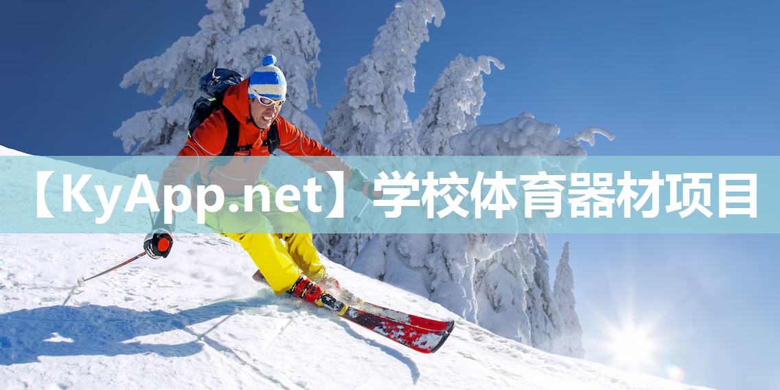 学校体育器材项目
