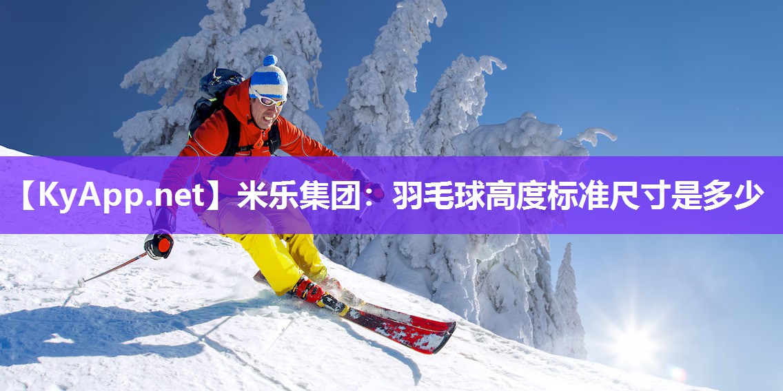 羽毛球高度标准尺寸是多少