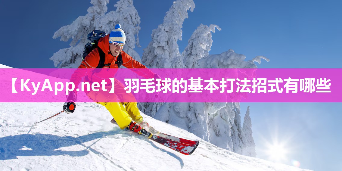 羽毛球的基本打法招式有哪些