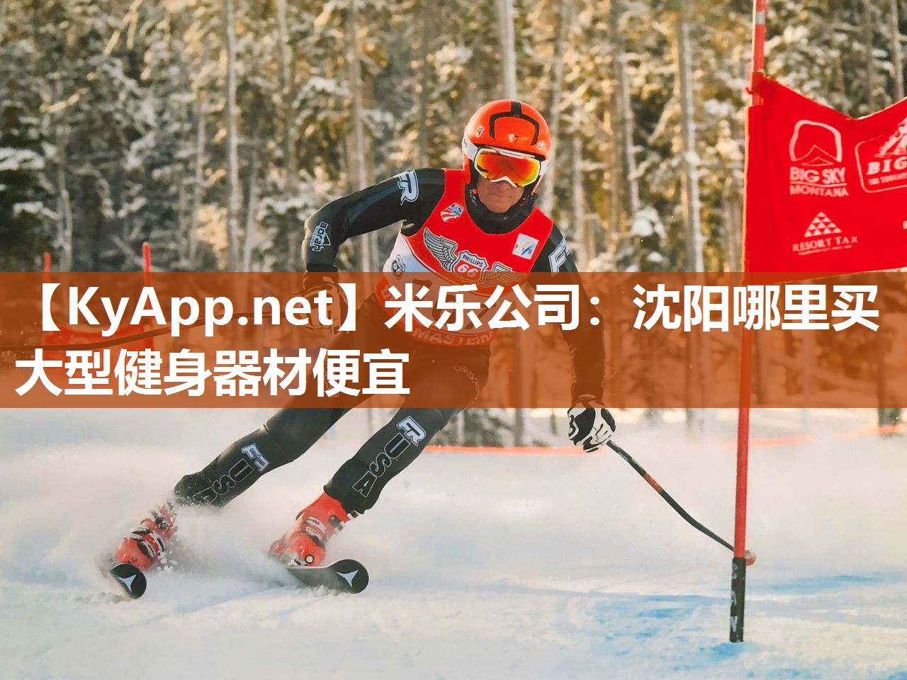 沈阳哪里买大型健身器材便宜