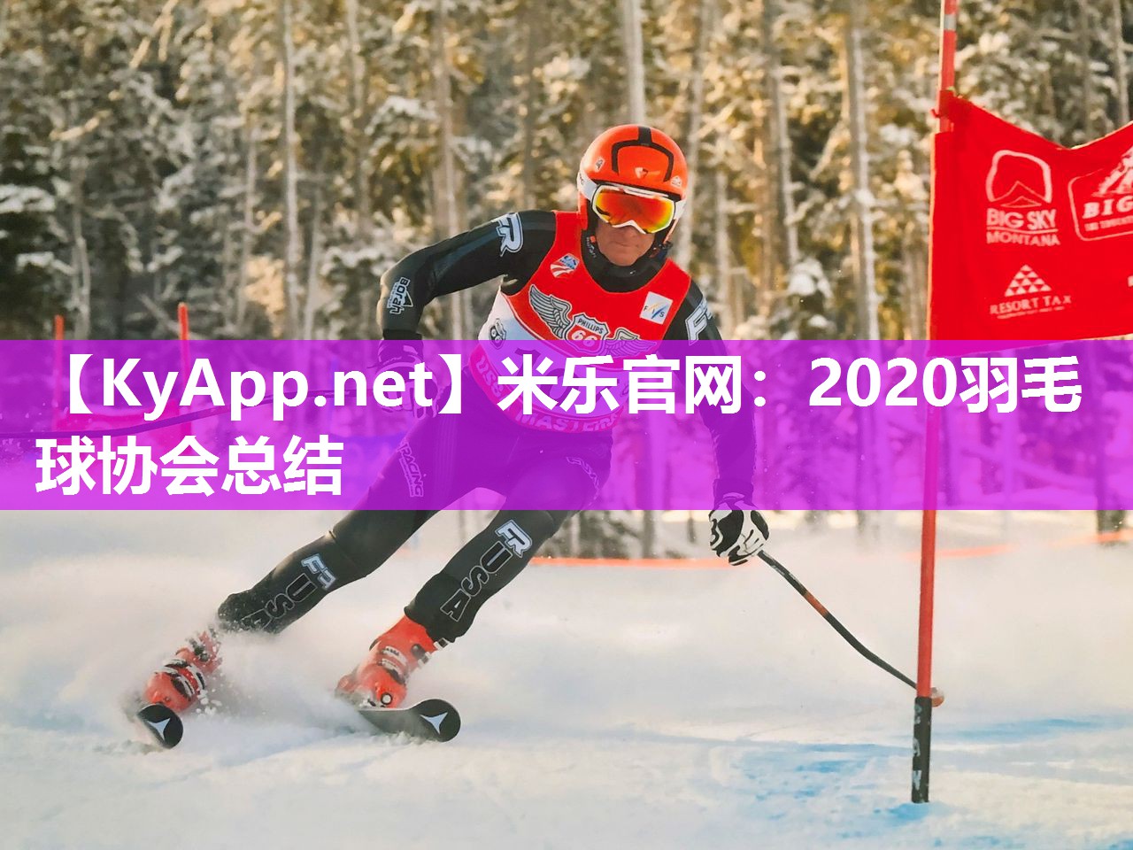 2020羽毛球协会总结