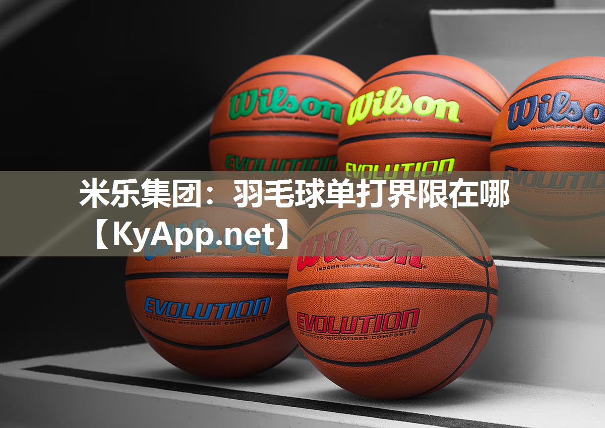 羽毛球单打界限在哪
