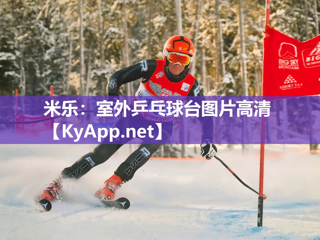 室外乒乓球台图片高清