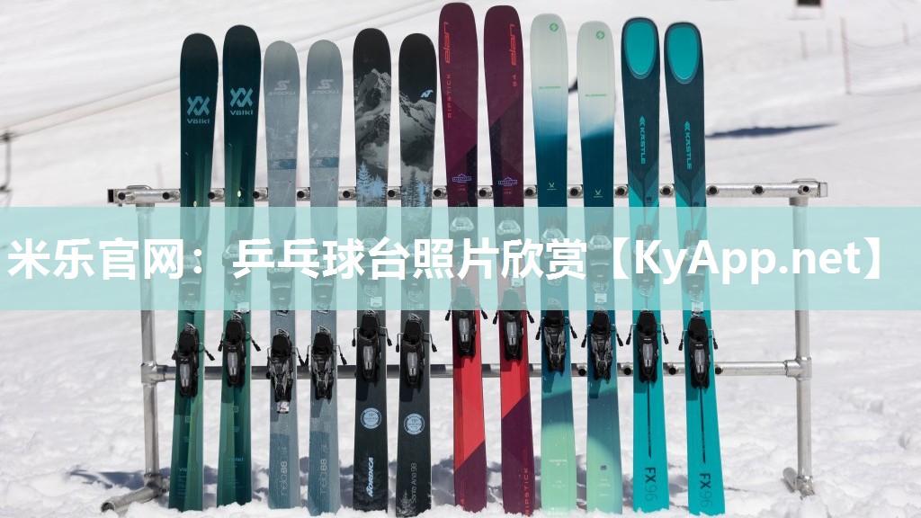 乒乓球台照片欣赏