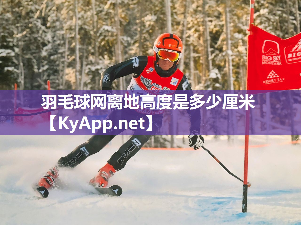 羽毛球网离地高度是多少厘米