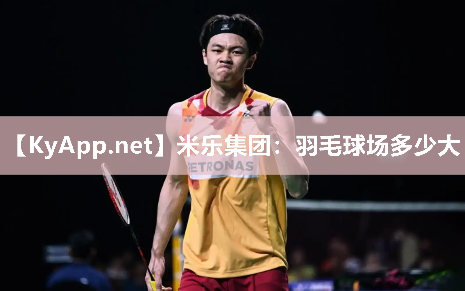 羽毛球场多少大