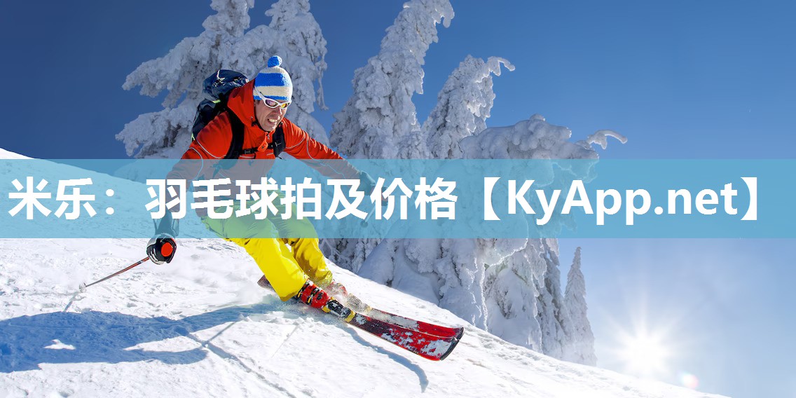 羽毛球拍及价格